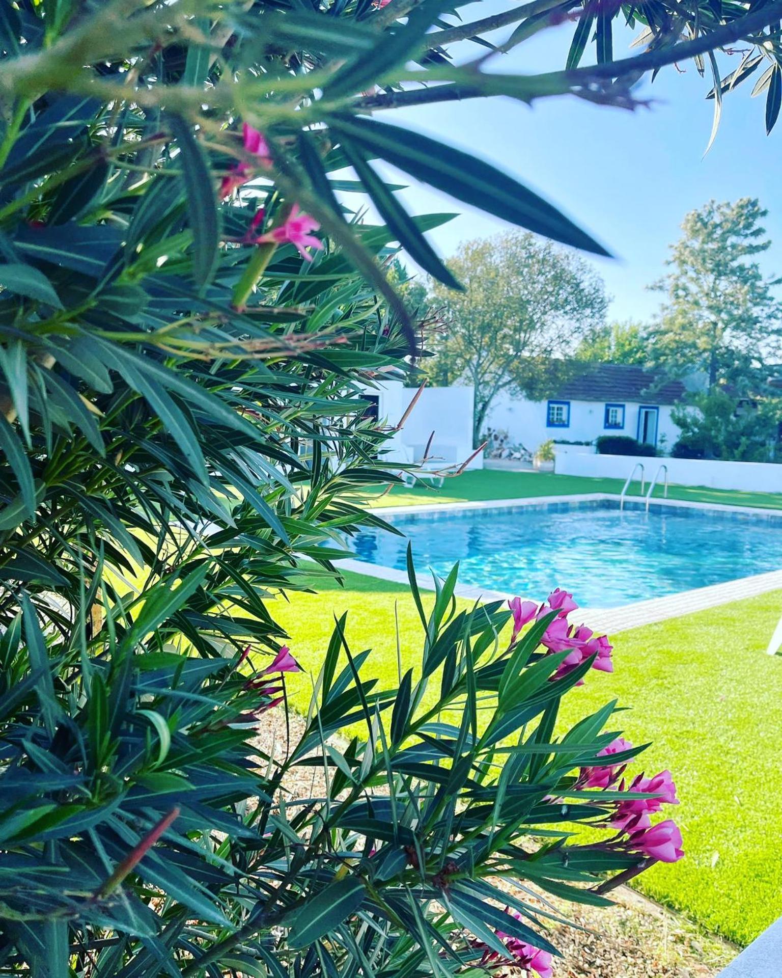 Na Quinta- Alojamento Rural Com Piscina De Agua Salgada Poceirao Zewnętrze zdjęcie