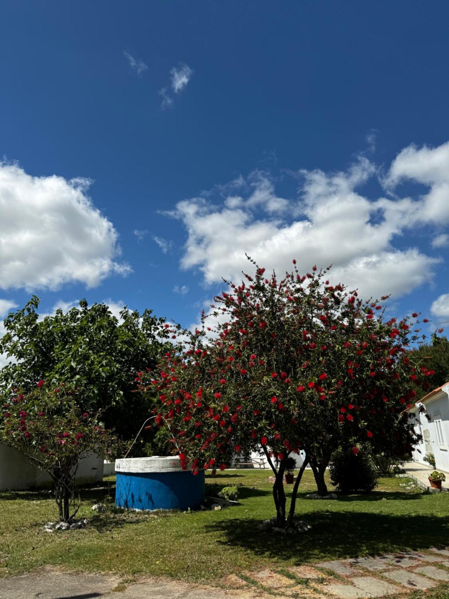 Na Quinta- Alojamento Rural Com Piscina De Agua Salgada Poceirao Zewnętrze zdjęcie